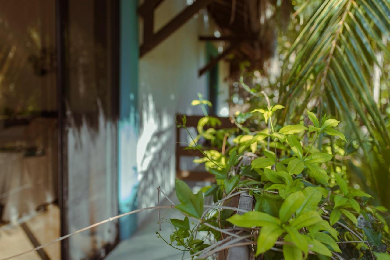 Hotel Villas Tiburon Isla Holbox Luaran gambar