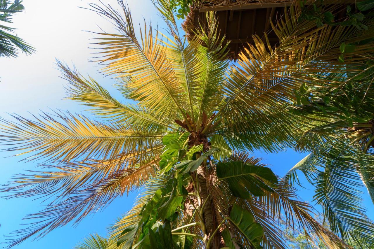Hotel Villas Tiburon Isla Holbox Luaran gambar