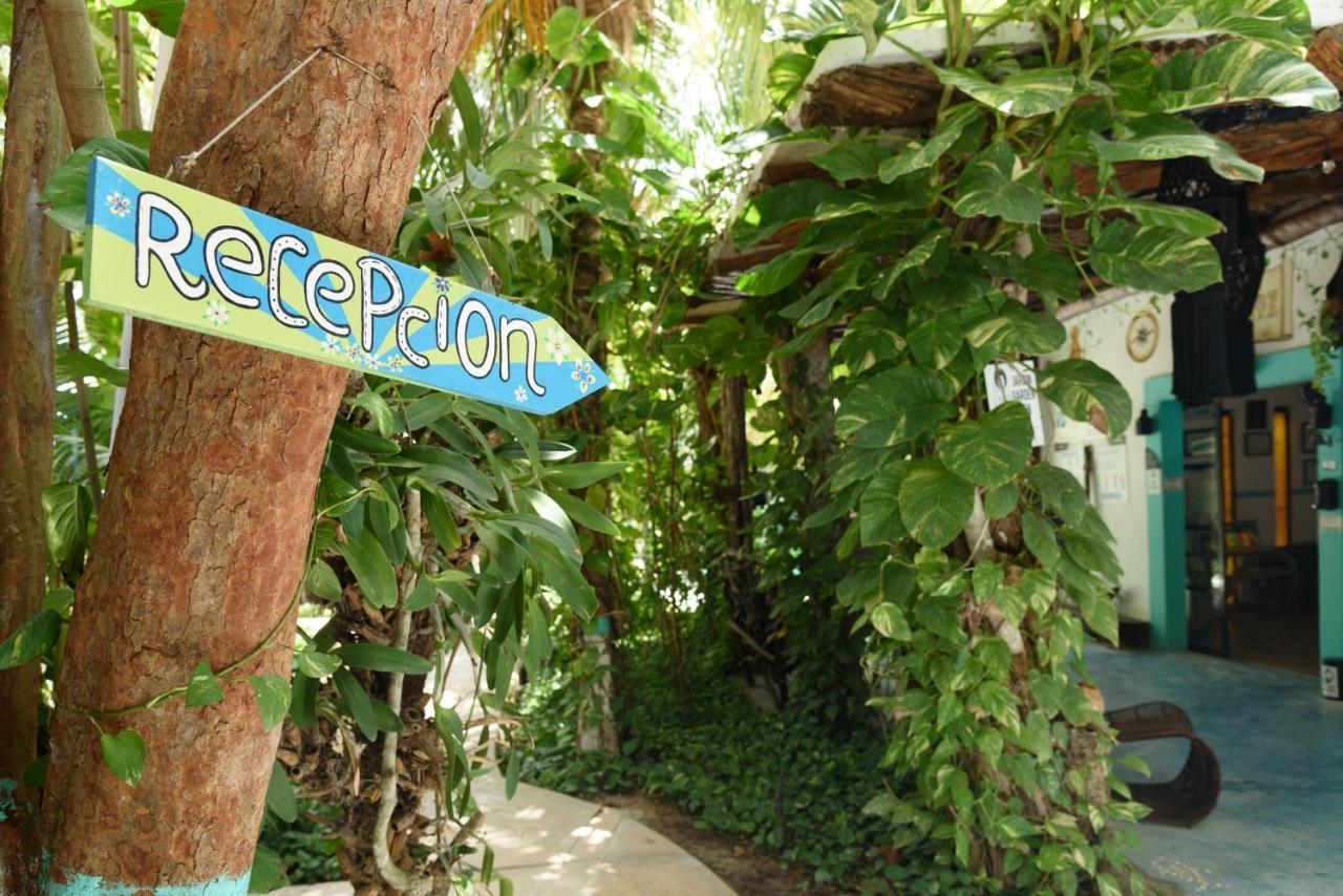 Hotel Villas Tiburon Isla Holbox Luaran gambar